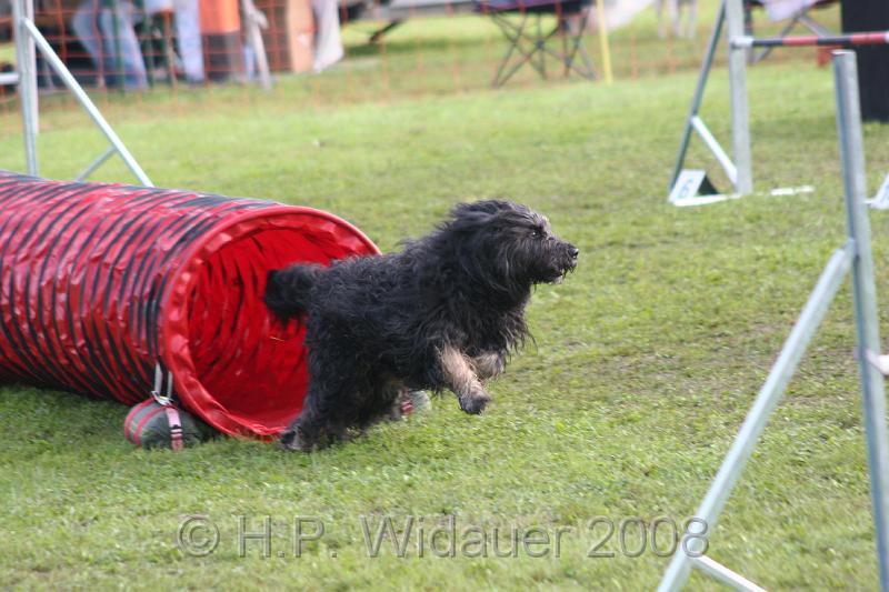 jubil.lusten3 026.jpg